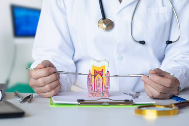 Best Broken or Chipped Tooth Repair in World Golf Village, FL
